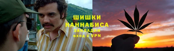 PSILOCYBIN Алзамай