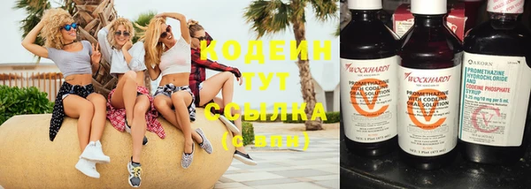 хмурый Абинск